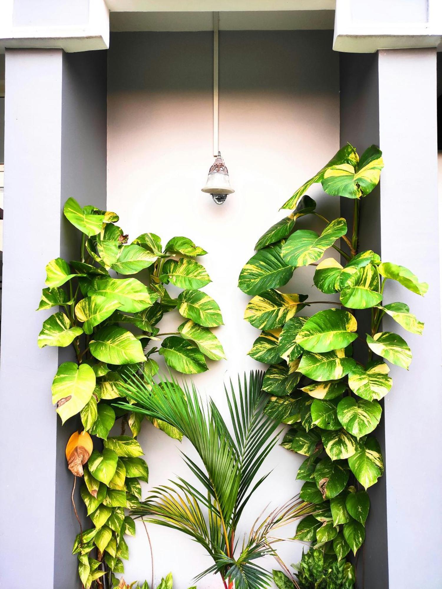 Mango Tree Villa Kochi 外观 照片